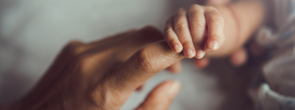 Repromed success rates NZ