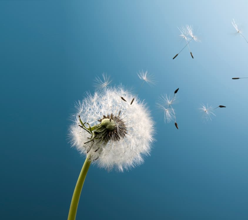 A Donor's Insight