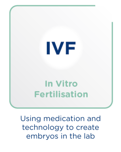 Learn more about IVF